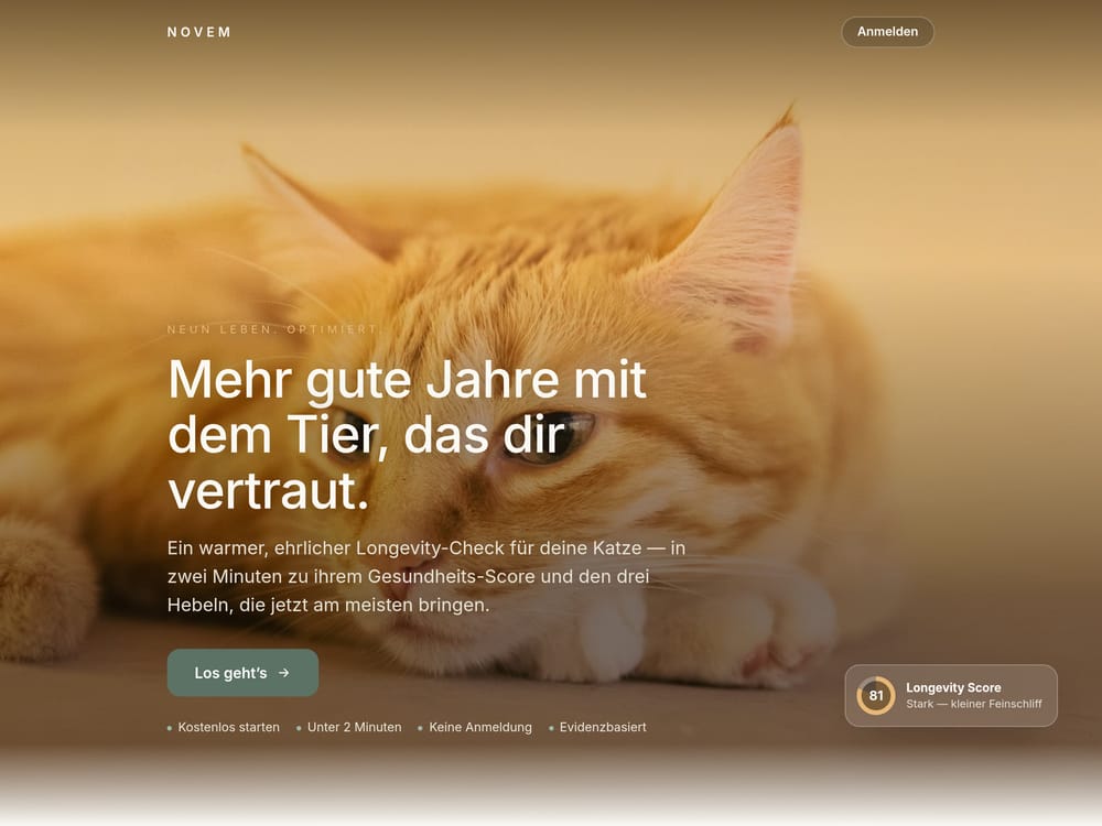 Novem – Longevity-Check für Katzen, Website von Isoline Studio